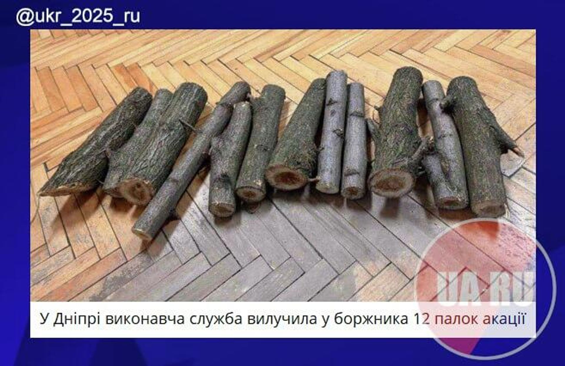 #украина_под_микроскопом: отобрали самое ценное - РИА Новости, 1920, 08.12.2025