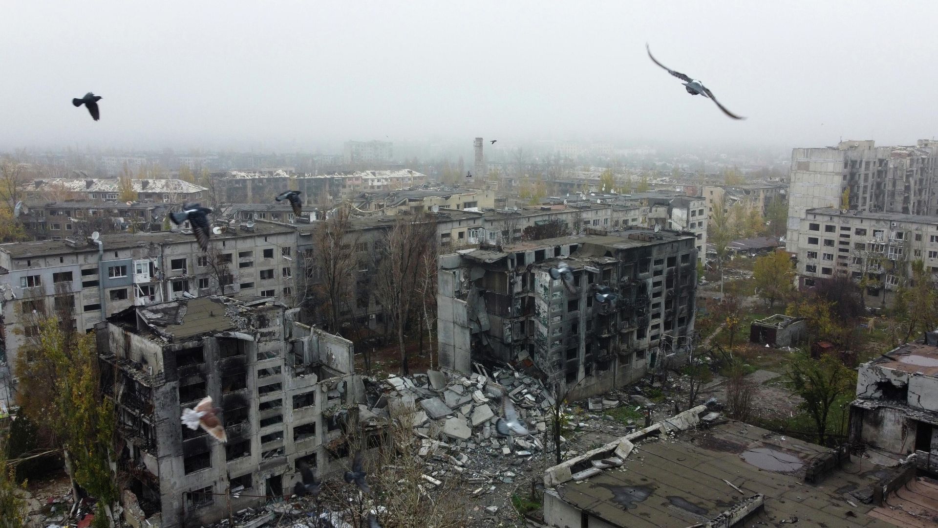 Освобожденный российскими военными Красноармейск в ДНР Освобожденный российскими военными Красноармейск в ДНР - РИА Новости, 1920, 01.03.2026