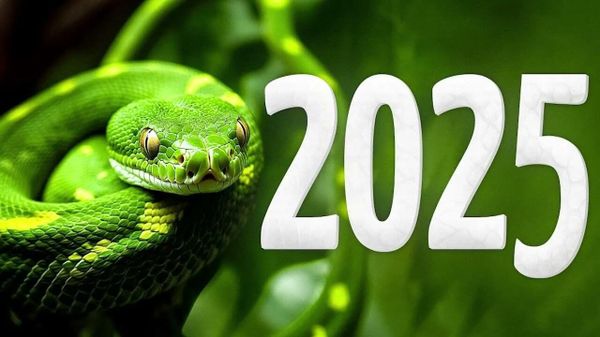 2025 год