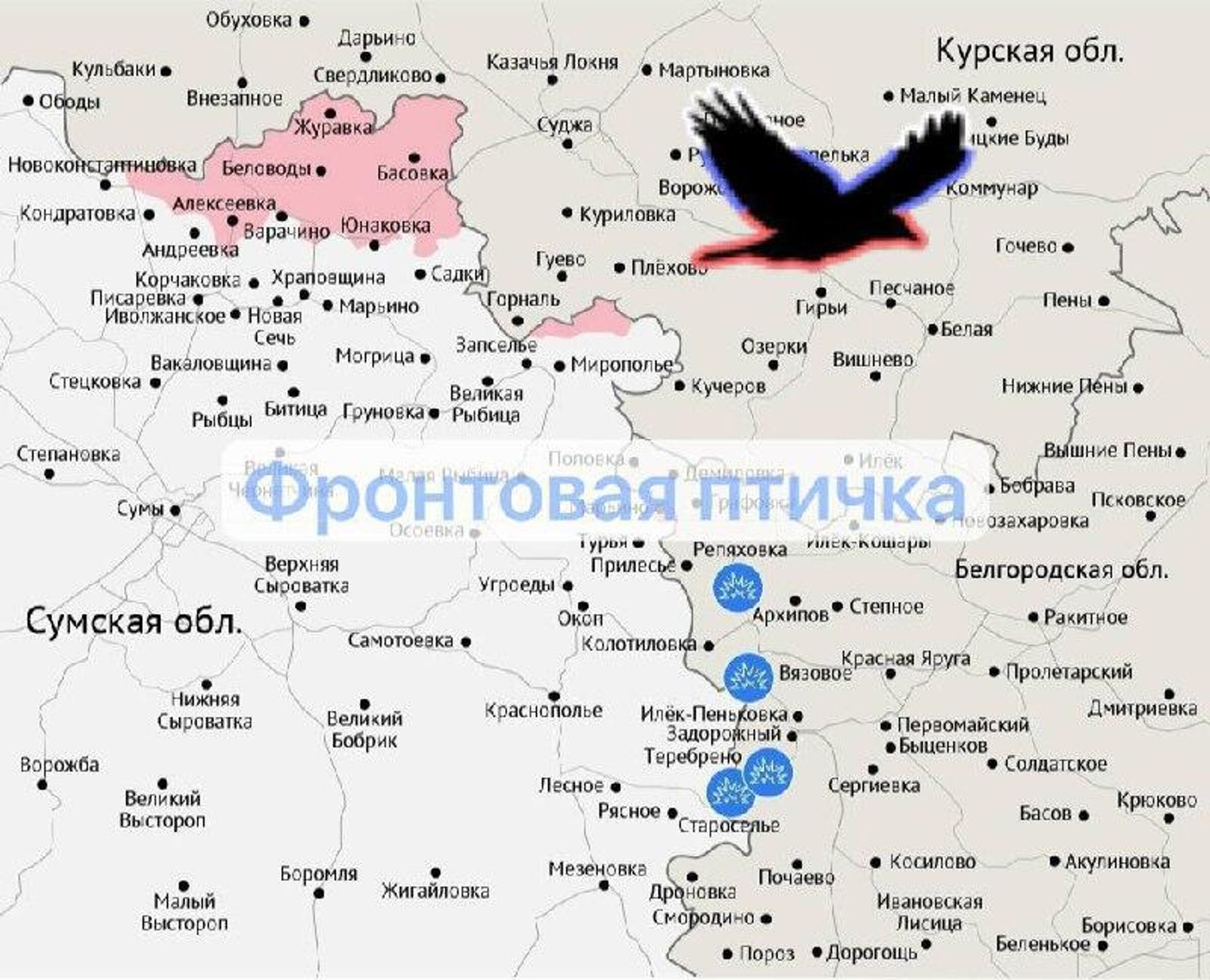 Сумское направление - РИА Новости, 1920, 13.01.2026