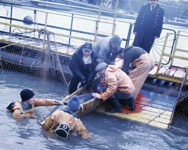 Выемка боевых дельфинов. Севастополь, 1990 год. Фото из социальных сетей Выемка боевых дельфинов. Севастополь, 1990 год. Фото из социальных сетей