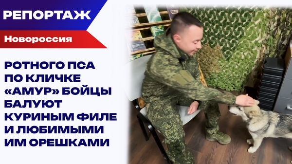 Амур