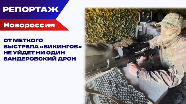 Викинги против Бабы-Яги