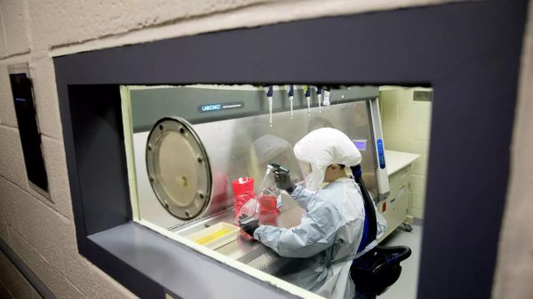 Сотрудник лаборатории в Медицинском НИИ инфекционных заболеваний армии США на базе Форт-Детри