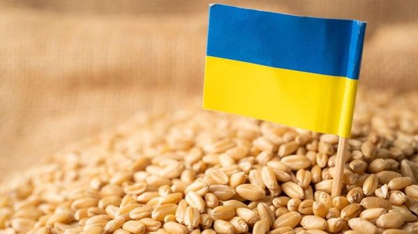 ‼ Европейская солидарность в действии: соседи Украины продолжают блокировать ее агроэкспорт