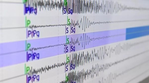 Сейсмограммы, получаемые с сети сейсмостанций Сейсмограммы, получаемые с сети сейсмостанций
