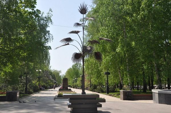 Пальма Мерцалова в Донецке