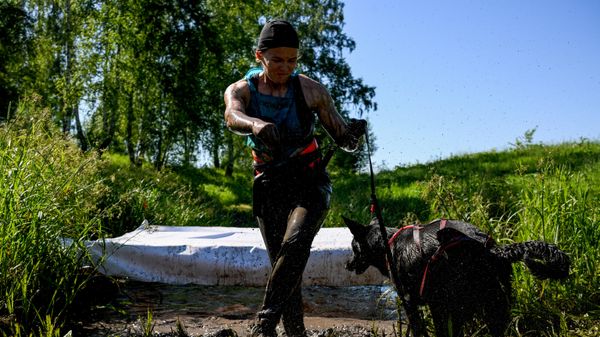 Триатлон Мокрые псы в Новосибирской области Триатлон Мокрые псы в Новосибирской области
