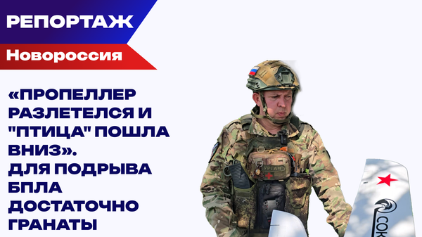 Дроны против дронов: как Сокол охотится на украинские БПЛА