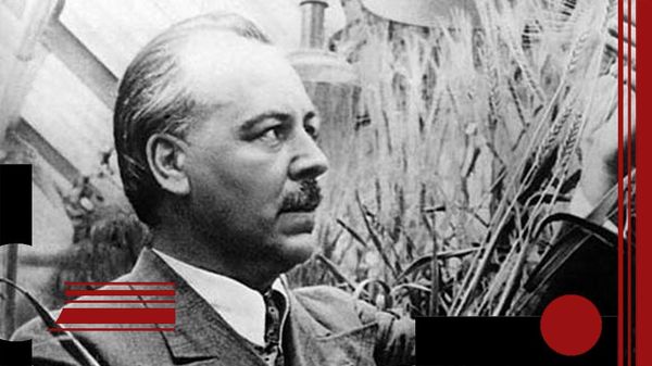 Николай Вавилов, 1939 год