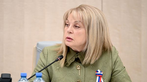 Работа Информационного центра ЦИК РФ Работа Информационного центра ЦИК РФ
