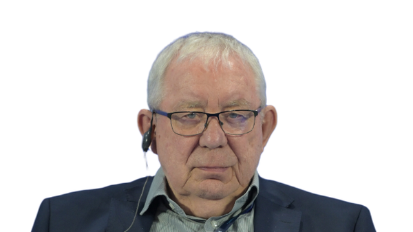 Профессор современной истории в Университетском колледже Корка в Ирландии Джеффри Робертс Профессор современной истории в Университетском колледже Корка в Ирландии Джеффри Робертс