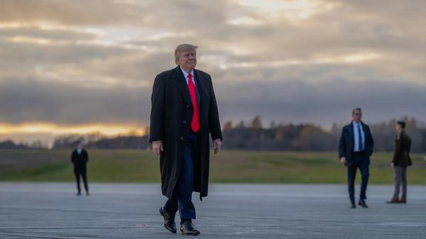 Дональд Трамп Дональд Трамп