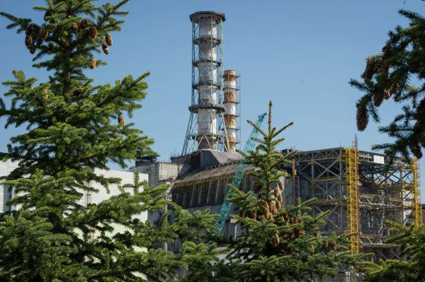 Зона отчуждения накануне 27-й годовщины Чернобыльской катастрофы Зона отчуждения накануне 27-й годовщины Чернобыльской катастрофы
