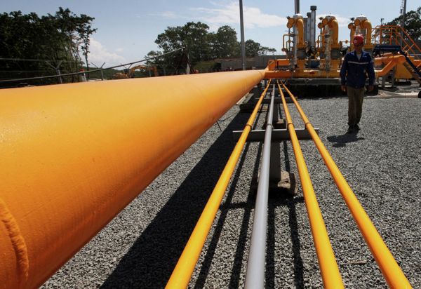 Продолжается строительство газопровода от ГРС на остров Русский
