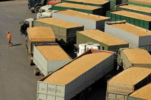 Работа зернового терминала в грузовом порту Новороссийска