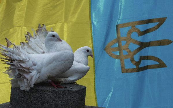 Ситуация на Украине Ситуация на Украине