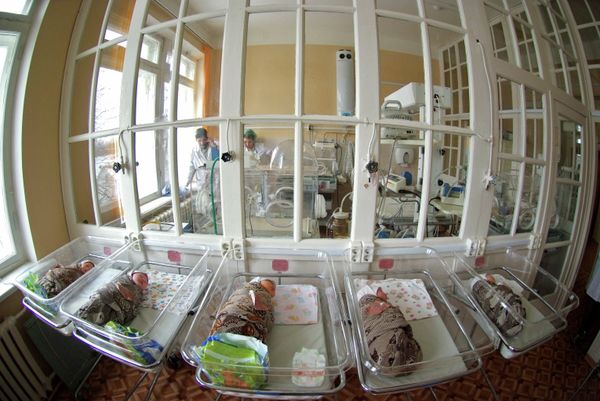 Работа клинического родильного дома в Великом Новгороде