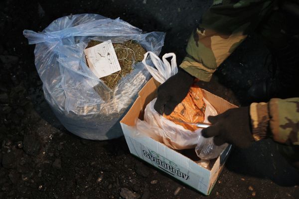 Уничтожение крупной партии наркотиков в Томске