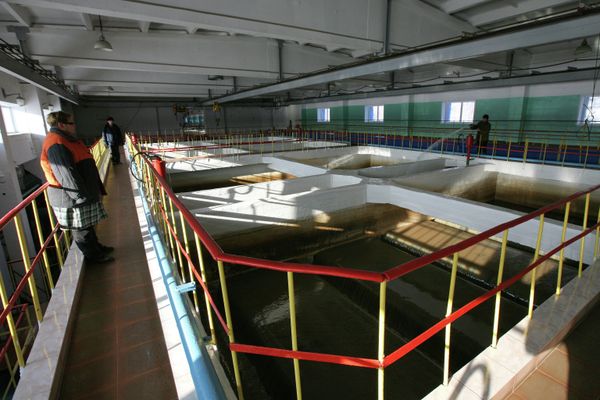 Работа муниципального унитарного предприятия Горводоканал в Новосибирске