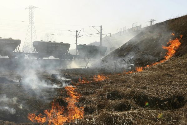 Весенние палы сухой прошлогодней травы в Алтайском крае