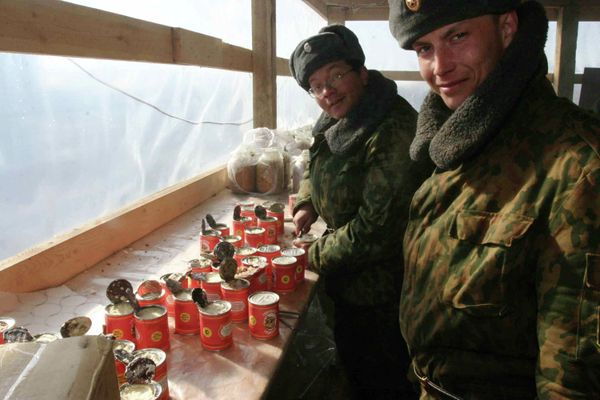 Командно-штабные мобилизационные учения в Башкортостане