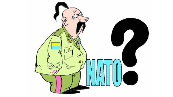 Сенат США поддержал резолюцию о вступлении Украины и Грузии в НАТО