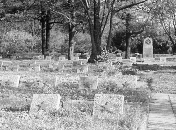 Мемориальное кладбище советских воинов Мемориальное кладбище советских воинов