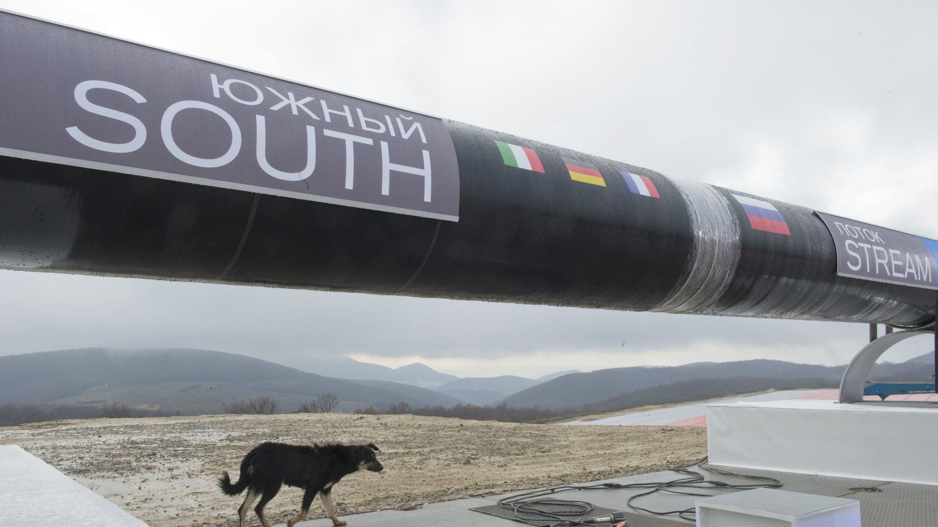 Начало строительства газопровода Южный поток Начало строительства газопровода Южный поток - РИА Новости, 1920, 24.11.2022