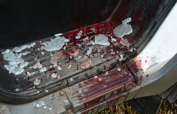 Последствия вооруженного столкновения в районе села Карловка Донецкой области