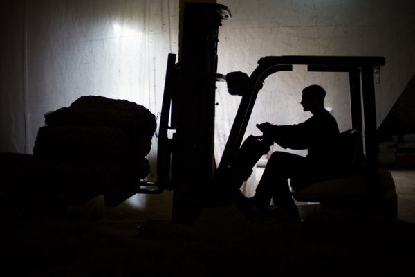 Уборка урожая овощей в Ивановской области