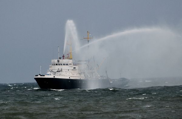 Празднование Дня независимости Украины Празднование Дня независимости Украины