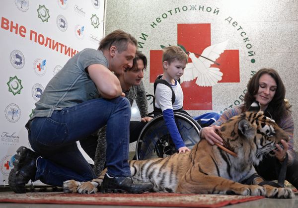 Братья Запашные посетили в больнице Ваню Воронова из Донецка Братья Запашные посетили в больнице Ваню Воронова из Донецка