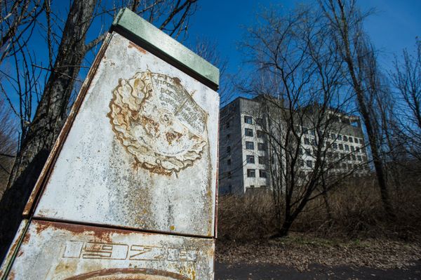 Зона отчуждения накануне 27-й годовщины Чернобыльской катастрофы