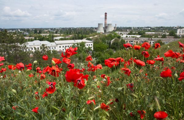 Симферопольская ТЭЦ им. В.И. Ленина Симферопольская ТЭЦ им. В.И. Ленина