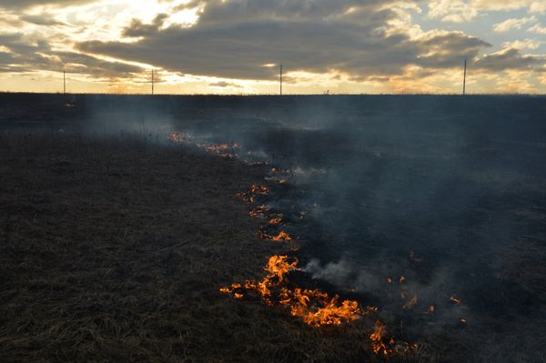 Горение сухой травы в Новосибирской области Горение сухой травы в Новосибирской области