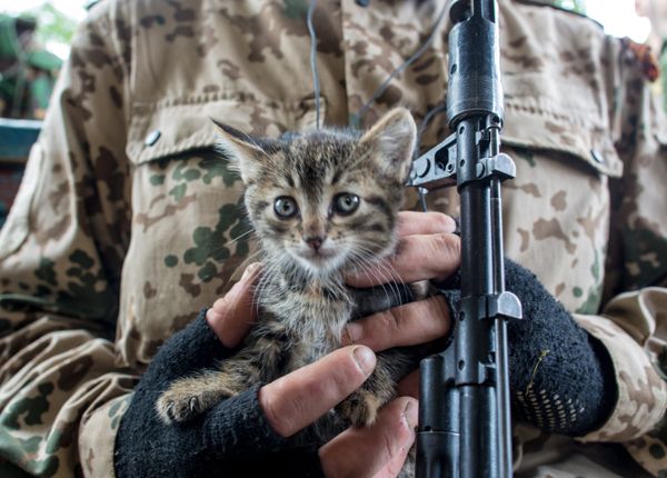 Ситуация в Донецке