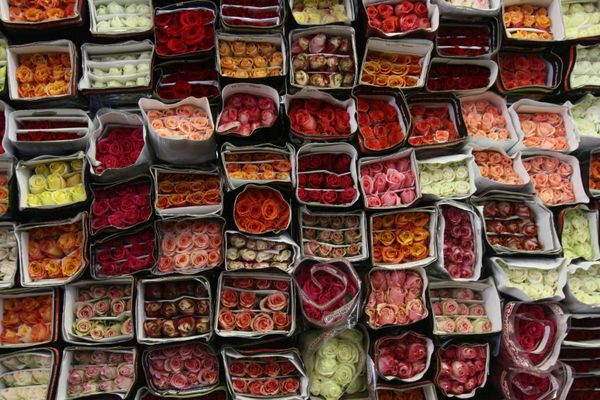 Продажа цветов к празднику 8 Марта
