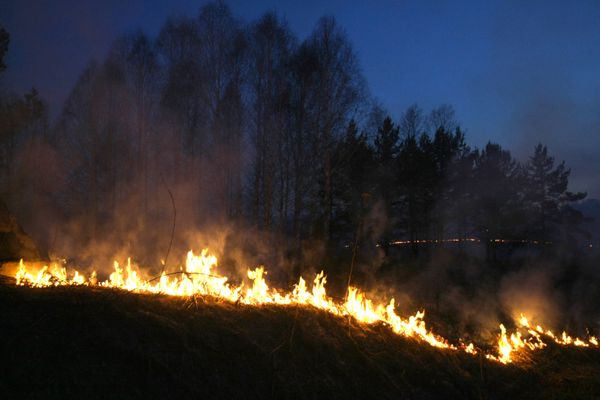 Весенние палы сухой травы в Новокузнецке