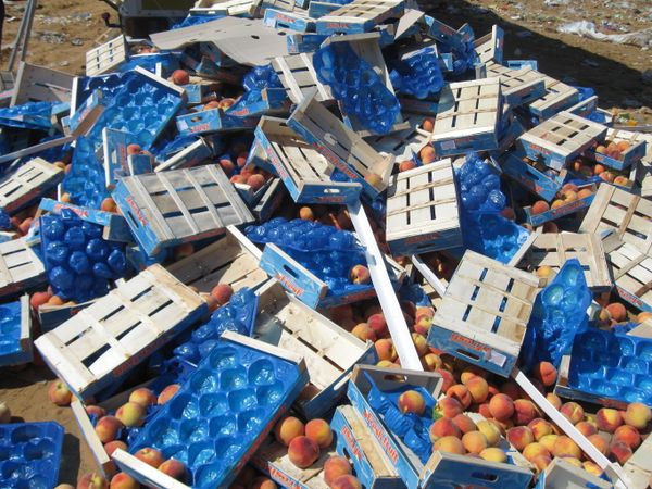 Уничтожение санкционной продукции в России