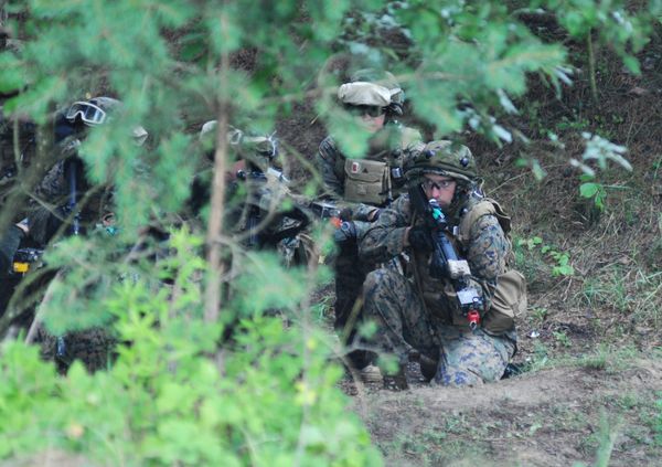 Международные военные учения Репид Трайдент - 2015 Международные военные учения Репид Трайдент - 2015