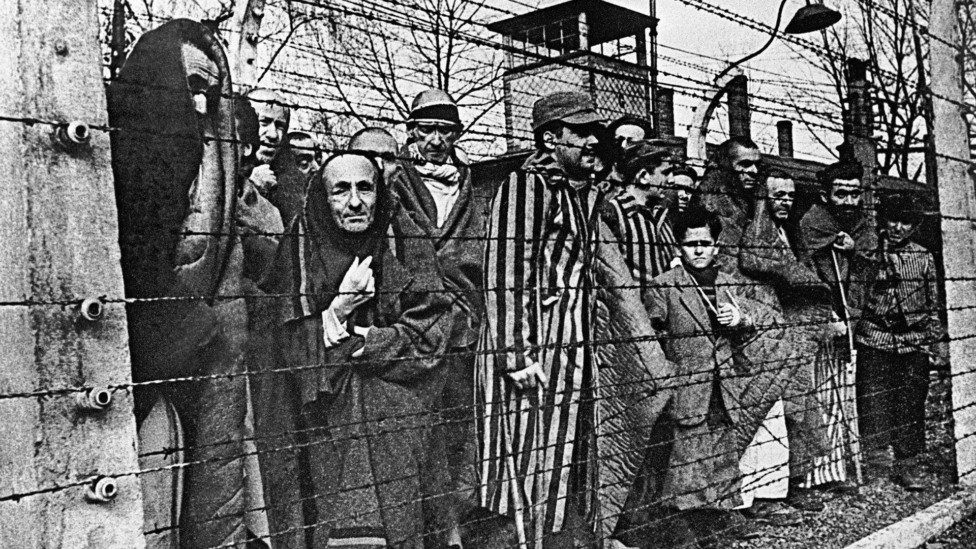 Узники Освенцима Узники Освенцима - РИА Новости, 1920, 27.01.2025