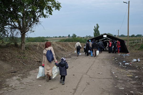 Ситуация на границе Сербии и Хорватии Ситуация на границе Сербии и Хорватии