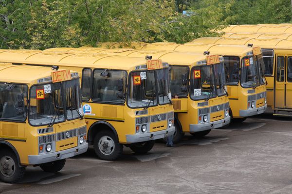 Новые школьные автобусы