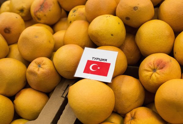 Россия вводит запрет на турецкие продукты