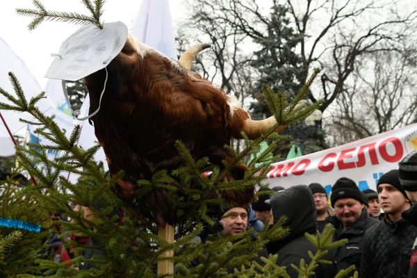 Акция протеста аграриев у здания Верховной Рады Украины