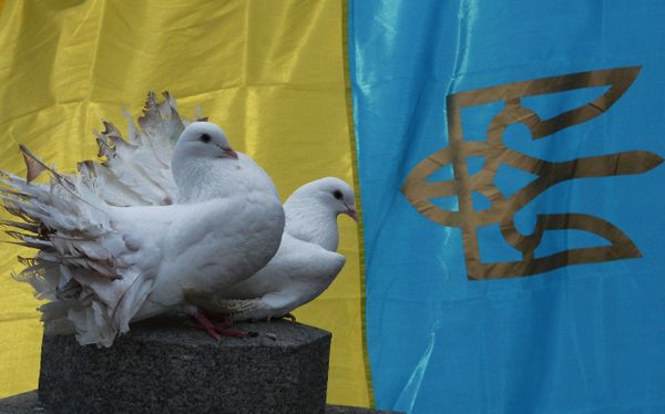 Ситуация на Украине