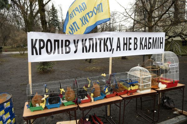 Акции на Украине с требованием отставки правительства во главе с премьер-министром А. Яценюком