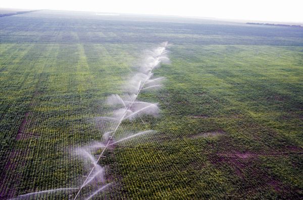 Дождевальный агрегат на одном из полей Херсонской области
