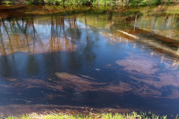 Разлив нефти в Новгородской области